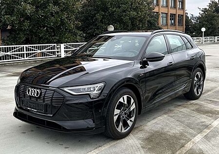 Audi e-tron 55 quattro advanced NP: 104T¤