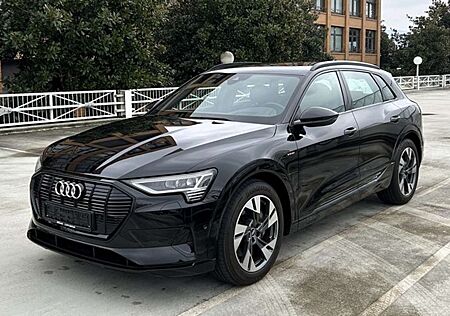Audi e-tron 55 quattro advanced NP: 104T¤