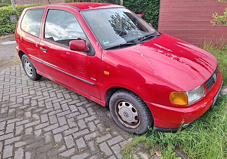 VW Polo Volkswagen 6N Joker
