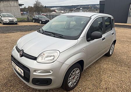 Fiat Panda 1.2 IM AUFTRAG Klima 8-fach bereift