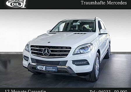 Mercedes-Benz ML 250 BlueTEC 4MATIC *RFK*ILS*SHZ*