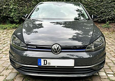 VW Golf Volkswagen VII 1.5 TSI ACT OPF BlueMotion Comfortline
