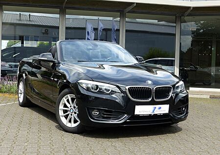 BMW 218 i Cabrio Aut. Navi PDC Tempo Leder Windschott