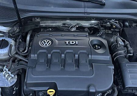 VW Passat Volkswagen 2.0 TDI SCR (BlueMotion Tech) 4Mot DSG Highline