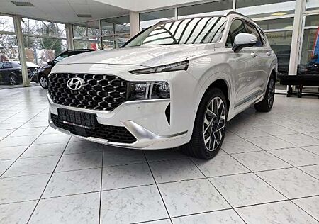 Hyundai Santa Fe 4WD*LED*Kamera*AHZ*Navi*Leder*LMF*Automatic