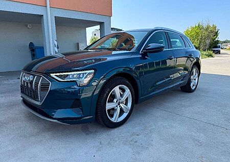Audi e-tron 50 quattro Basis