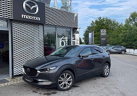 Mazda CX-30 Selection inkl. Bose + Design-Paket + WR