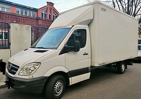 Mercedes-Benz Sprinter 316 cdi, R.kamera, Maxi Koffer 4,48, 3.500kg