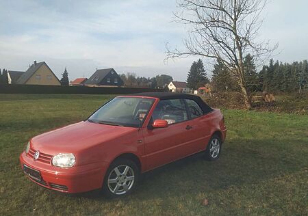 VW Golf Cabriolet Volkswagen Golf Cabrio 1.6 Colour Concept