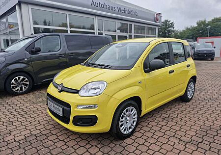 Fiat Panda Pandina Icon-PDC hinten