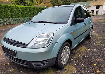 Ford Fiesta Ambiente