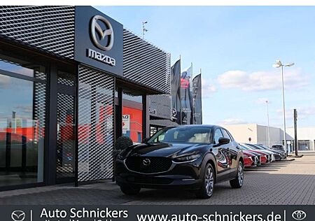 Mazda CX-30 SKYACTIV-G Hybrid SELECTION+18 ZOLL+8FACH