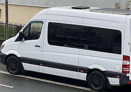 Mercedes-Benz Sprinter 313 CDI (BlueTec) 4x4 906.735