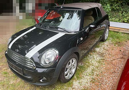 Mini Cooper Cabrio Vollleder