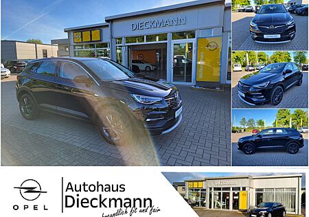 Opel Grandland X INNOVATION Navi SHZ AHK LED RFK PDC