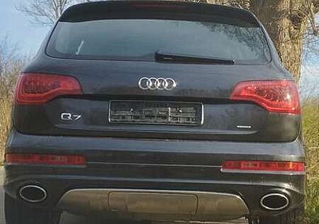 Audi Q7 3.0 TDI quattro (180kW) V 12 Optikpaket