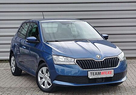Skoda Fabia Ambition BT DAB AppleCarPlay Android HUneu