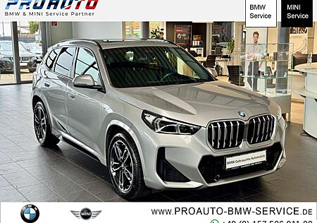 BMW X1 18i sDrive M Sport AHK/PANO/K.Zg/19"/RFK