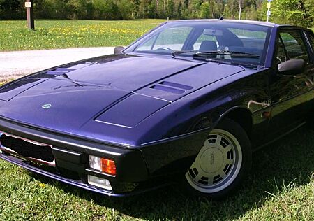 Lotus Excel Excel S.E.