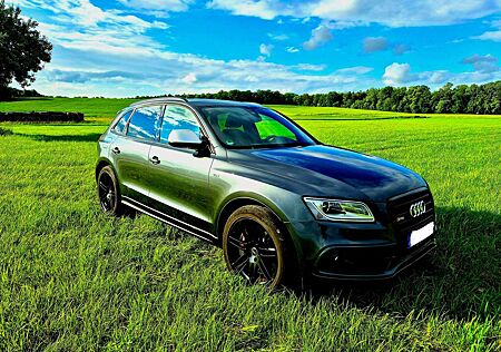 Audi SQ5 3.0 TDI quattro tiptronic competition