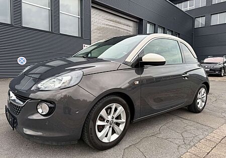 Opel Adam Glam 2 Hand Pano Klima Leder Park Hilfe 15