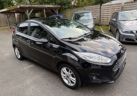 Ford Fiesta 1,25 "Titanium" -ALU-TEL-Li+Si-GJR