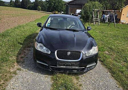 Jaguar XF 3.0 V6 Diesel
