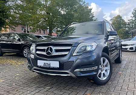 Mercedes-Benz GLK 220 gebraucht kaufen Mercedes-Benz GLK 220 CDI BlueEfficiency 4Matic*LED*XENON*AHK*