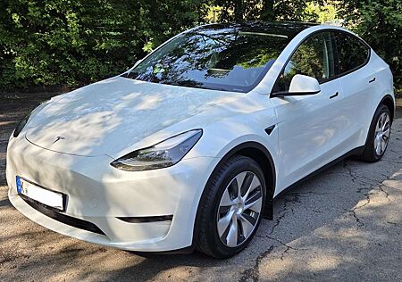 Tesla Model Y LR AWD, AHK