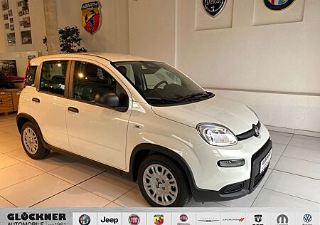 Fiat Panda Hybrid Pandina