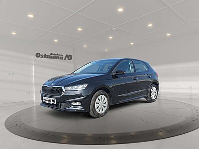 Skoda Fabia 1.0 TSI Active LED PDC SHZ SpurH Winterp.