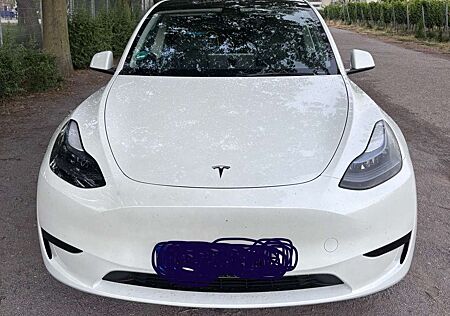 Tesla Model Y RWD