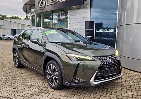 Lexus UX 250h Luxury Line ACC FLA HUD SpurH Leder LM