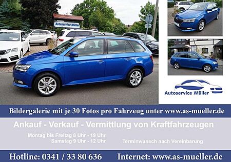Skoda Fabia Combi 70kw AppleCar-Kamera-LED-Sitzh.-WR-
