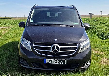 Mercedes-Benz V 250 (BlueTEC) d lang 7G-TRONIC Avantgarde