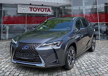 Lexus UX 250h UX 250 h 250h Style Edition ACC FLA ParkAss. LM