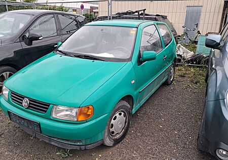 VW Polo Volkswagen 75 Indianapolis