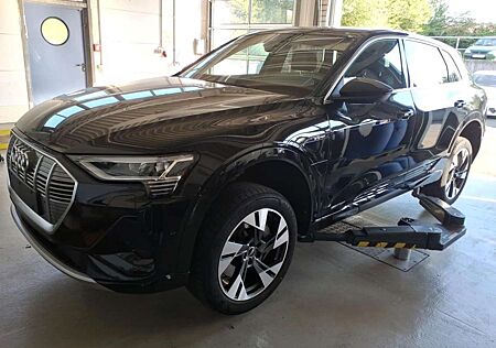 Audi e-tron 55 2x S LINE MATRIX/ACC/AHK/PANO/B&O/360°