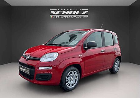 Fiat Panda MY25