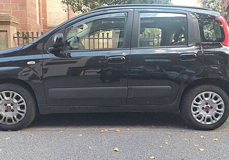 Fiat Panda 1.2 More