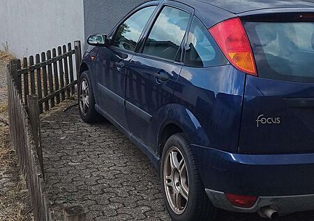 Ford Focus 1.6 Liter 16V Klima Alufelgen