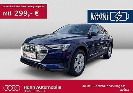 Audi e-tron 55 quattro Navi LED CAM Sitzh