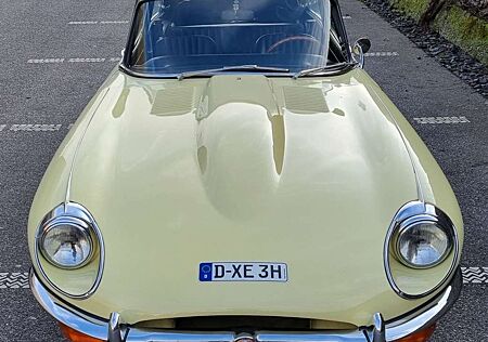 Jaguar E-Type 2+2 Schalter, Servo
