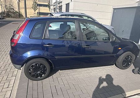 Ford Fiesta Viva X