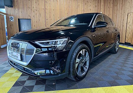 Audi e-tron 50 qu. S Line *Navi*Kam*Virt*Luft*Matrix*