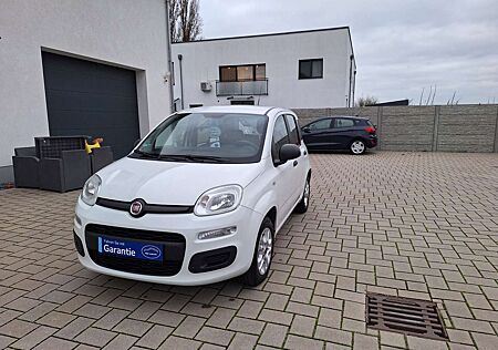 Fiat Panda Easy - klima - Garantie - Zahnriemen neu