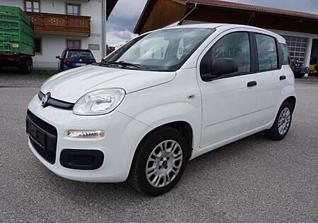 Fiat Panda Easy Klima 1.Hand Service/HU neu
