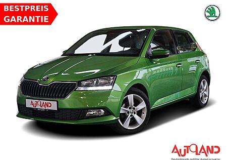 Skoda Fabia 1.0 MPI Active Sitzheizung DAB PDC
