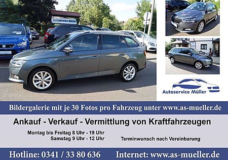 Skoda Fabia Combi 81kw Navi-CarPlay-PDC-9191 km