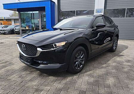 Mazda CX-30 Selection LED/Carplay/360°/ACC/SHZ/HUD